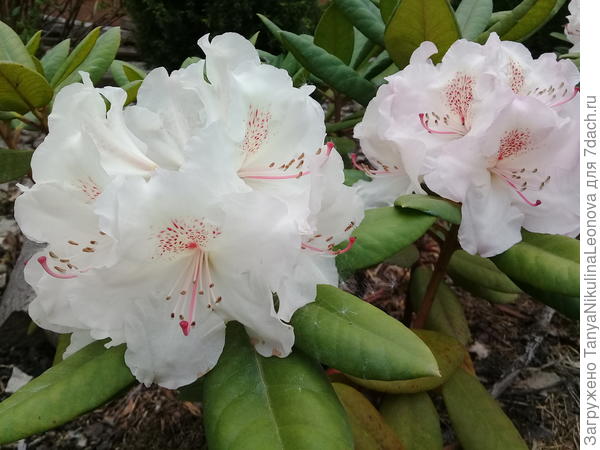 Поздравляю!