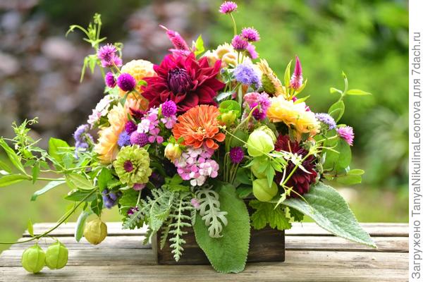 Поздравляю!!!