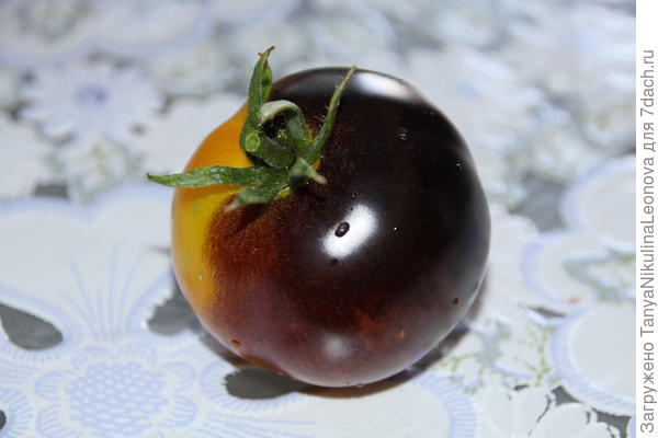 Синее золото