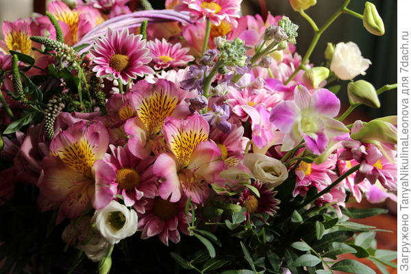 Поздравляю!