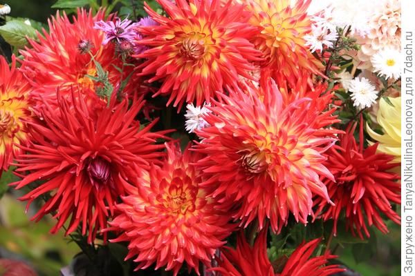 С Днём рождения!!!