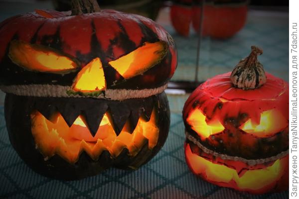 Из декоративных ...