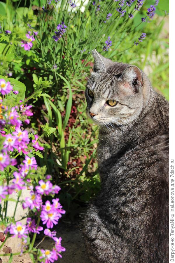 Тёмке уже можно!