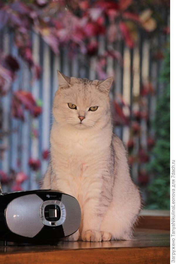 &amp;quot;Вечером дискотека...&amp;quot;