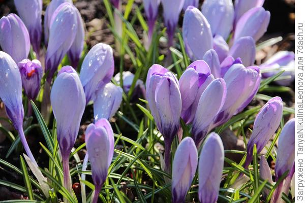 20.03.20 Началось похолодание...