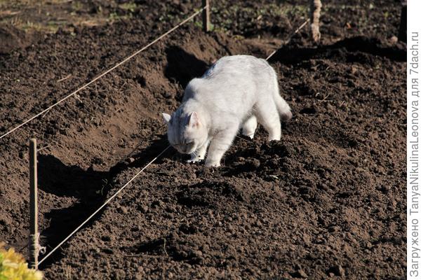 Проверю, правильно ли посадили?