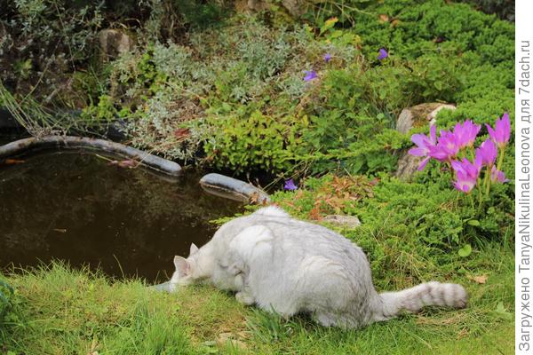 А этому нужны объёмы побольше...