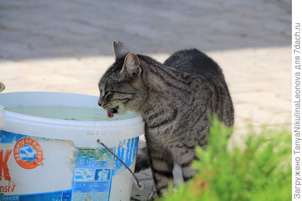 Свеженькая!!!