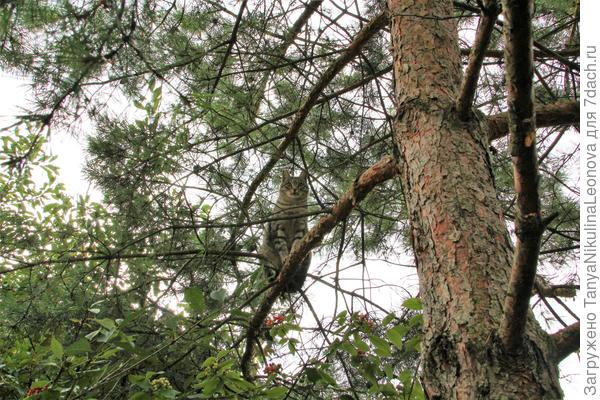 Ну и где девчонки?