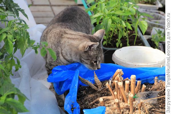 И ничего вкусного....(((