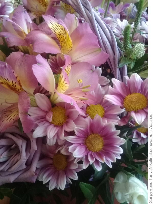 Поздравляю!