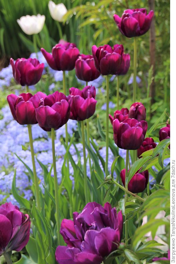 С Днём рождения!