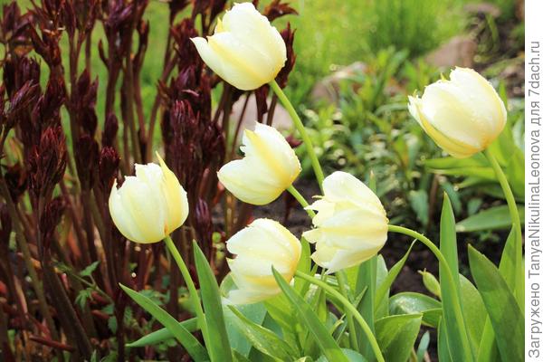 С Днём рождения!