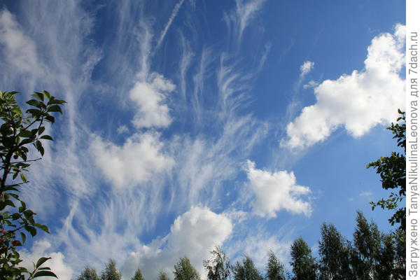 Фейерверки