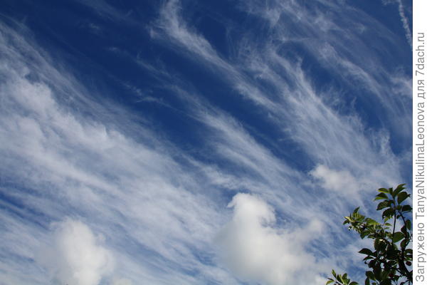 Кто-то рисует небесными кистями...