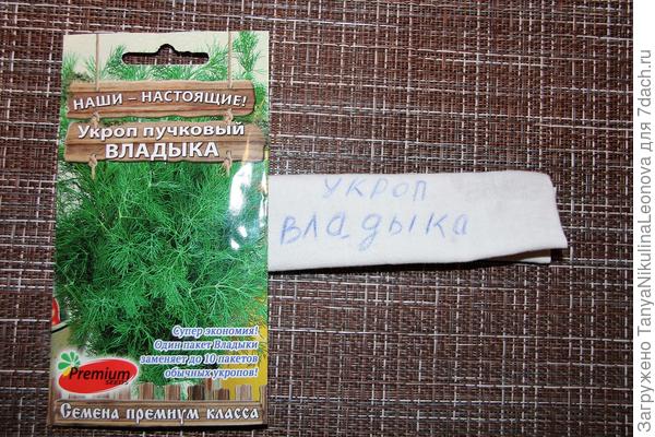 семена