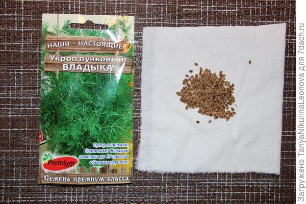 семена