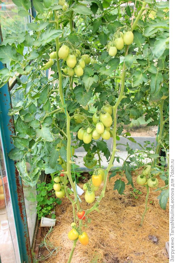 Великосветский