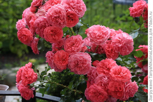 Поздравляю!!!