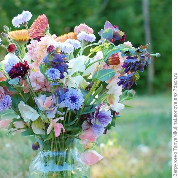 Поздравляю!!!