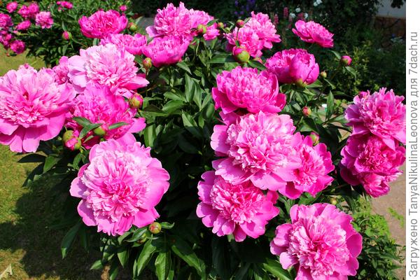 С Днем рождения!