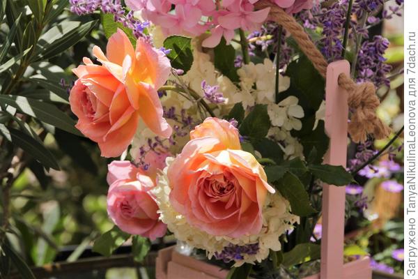 Поздравляю!