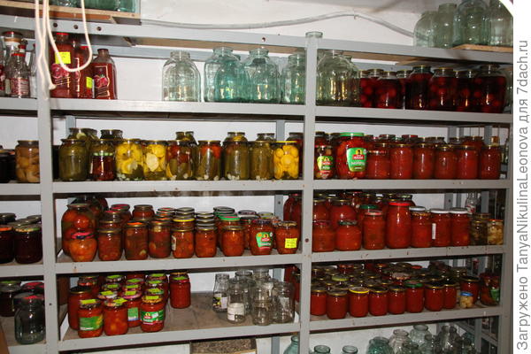 Заготовки этого года, полочка с салатами под огурцами)))