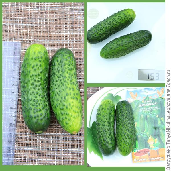 Матвейка