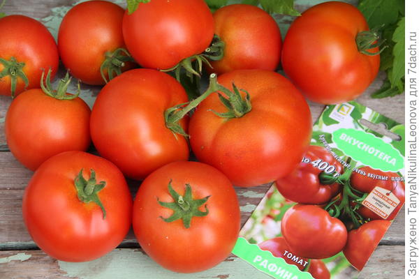 Рафинад - оправдывает название