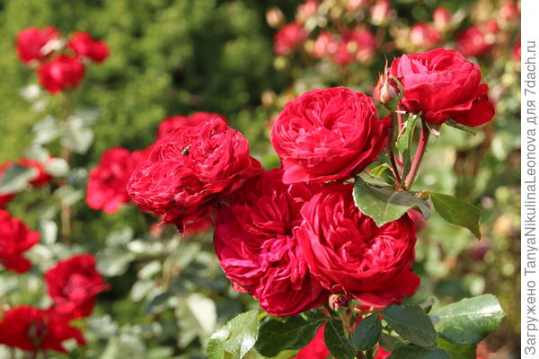 Поздравляю!!!