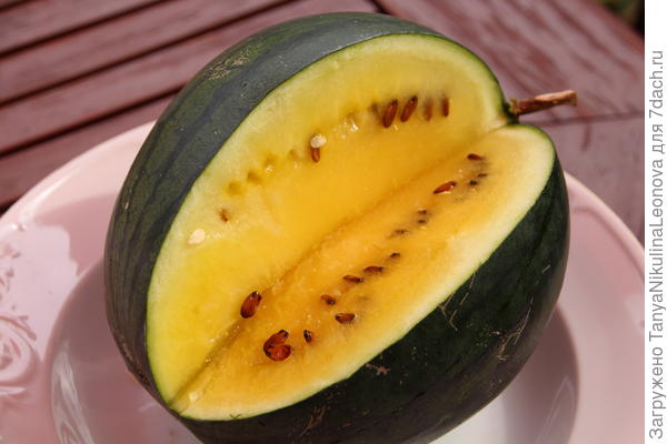 Арбуз &amp;quot;Чудо-ягода&amp;quot;