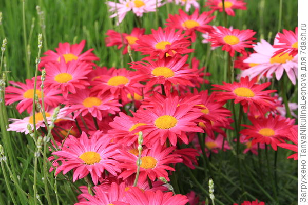 Поздравляю!!!