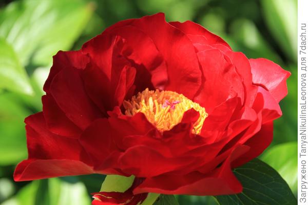 Поздравляю!