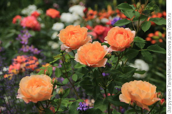 Поздравляю!