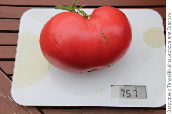 Тоже есть шов)))