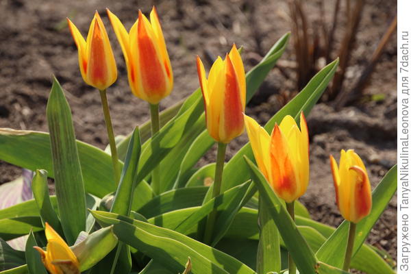 Поздравляю!