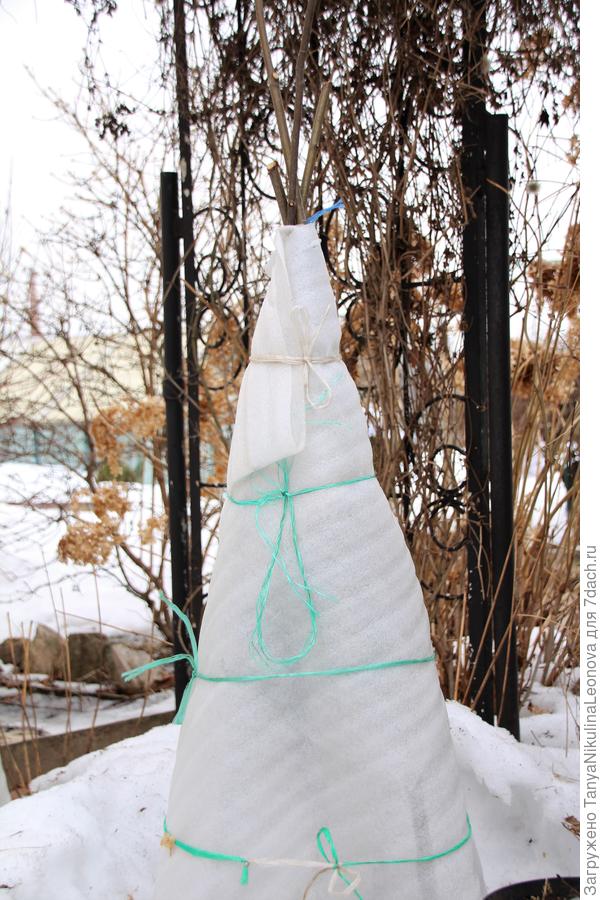 Укрытие на зиму