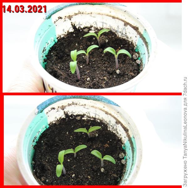 14.03.2021