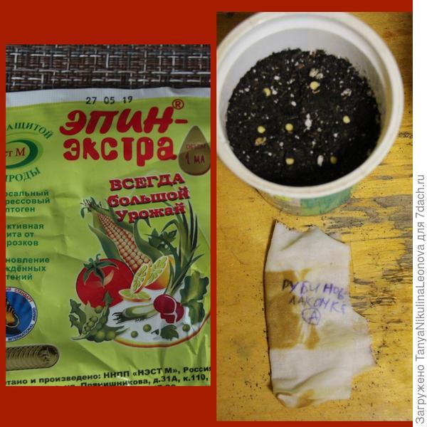 замачивание 03.03.21