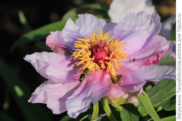 Поздравляю!