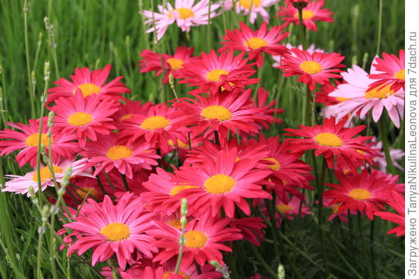 Поздравляю!!!