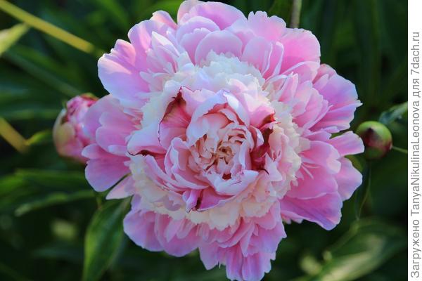 Поздравляю!