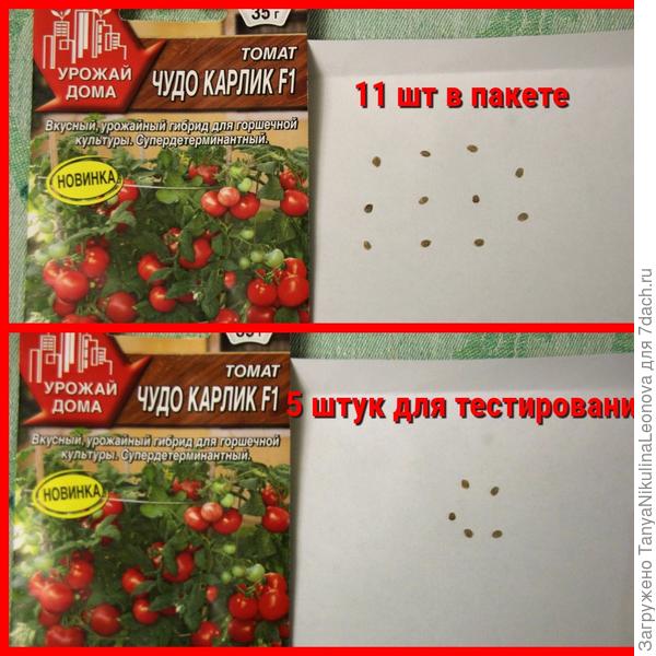 семена