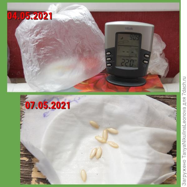 замачивание