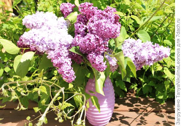 Да, да, в этом году в начале июня цвела сирень. 02.06.2021