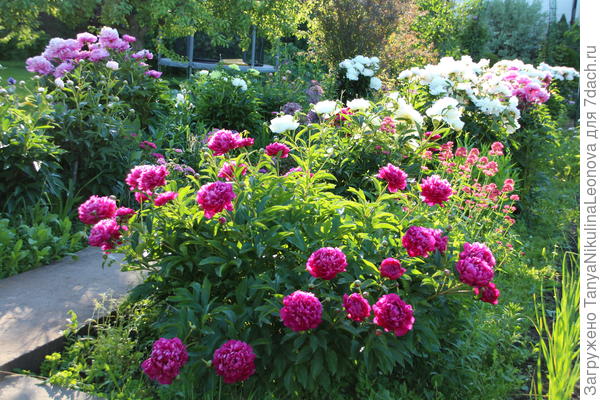 На закате...