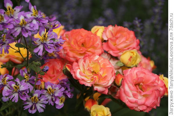 С Днём Рождения!!!