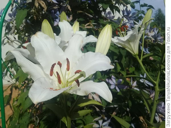 Поздравляю!