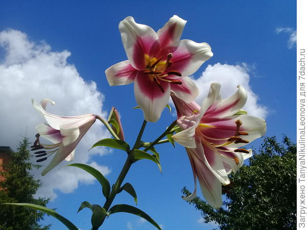 Поздравляю!