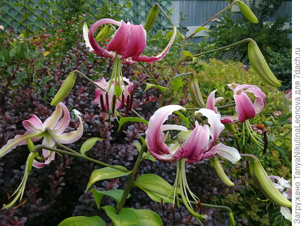 Поздравляю!